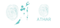 cropped 1000767652 removebg preview.png
